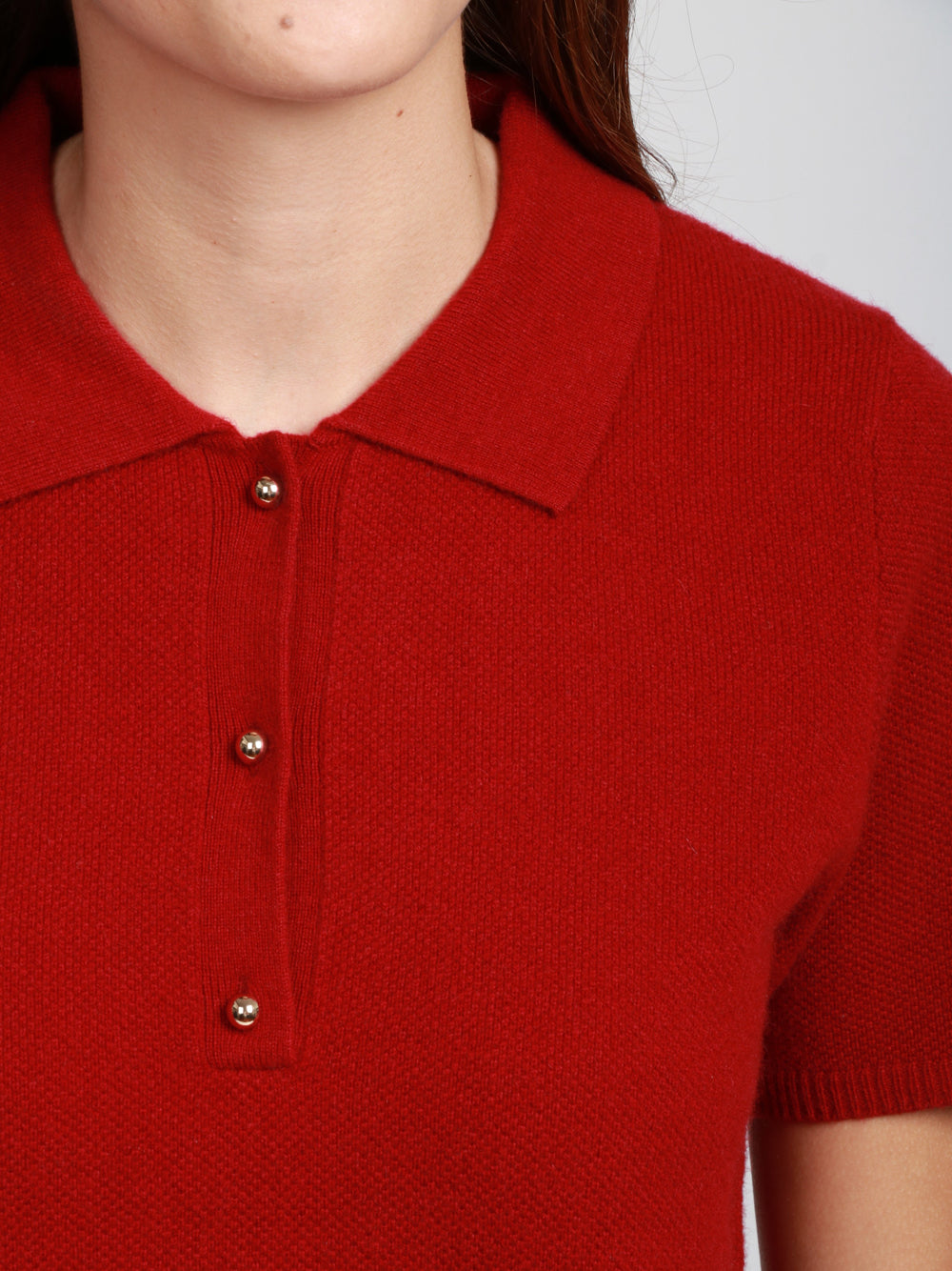ABSOLUT CASHMERE Maglia Polo Giulia in Misto Cashmere Rossa Scuro Rosso scuro
