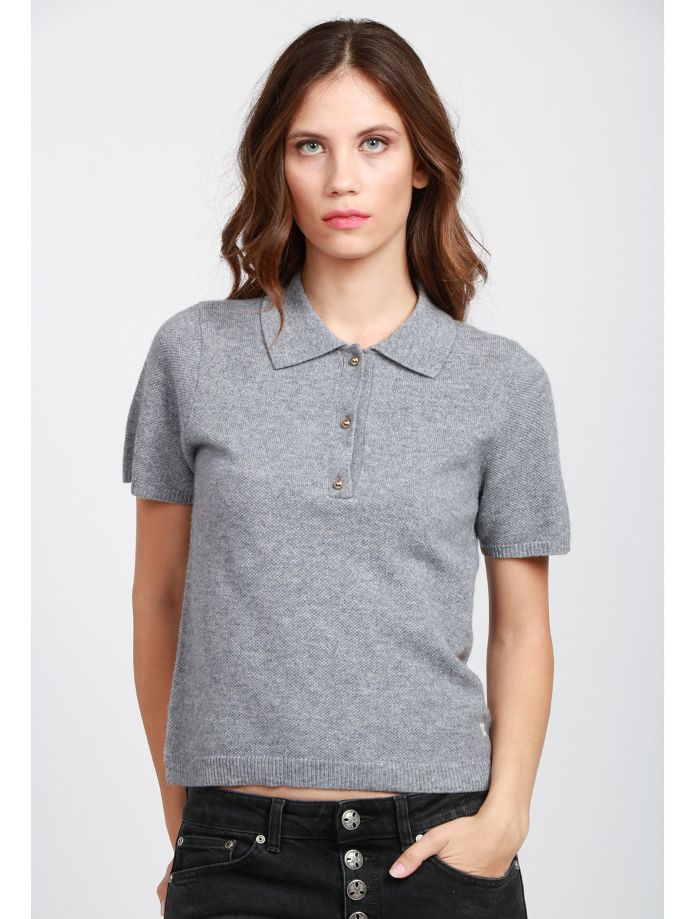 ABSOLUT CASHMERE Maglia Polo Giulia in Misto Cashmere Grigia Grigio