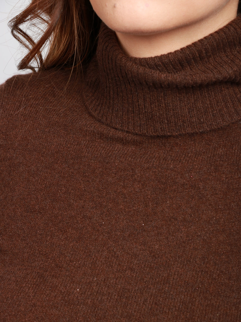 ABSOLUT CASHMERE Maglia Ninon in Cashmere Marrone con Collo Alto Marrone