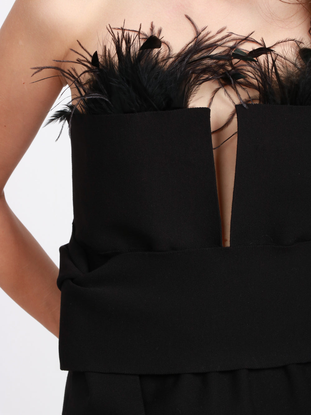 ALBERTA FERRETTI Top Bustier a Fascia Nero con Piume Nero