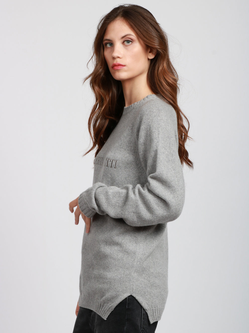 ALBERTA FERRETTI Maglia Girocollo in Cashmere Grigia con Logo Grigio
