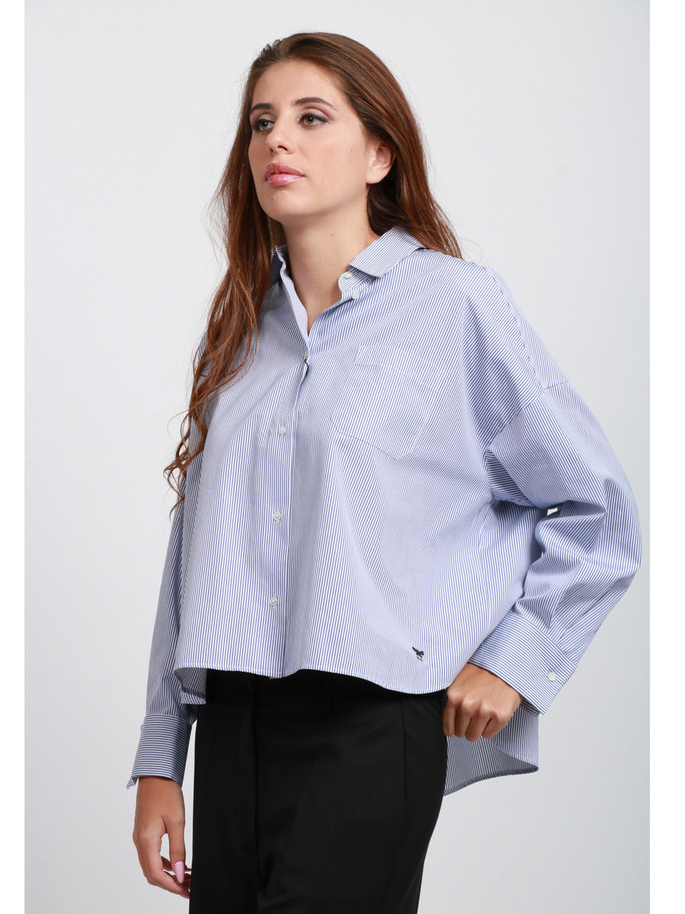 WEEKEND MAX MARA Camicia Arturo in Popeline di Cotone a Righe Celeste e Bianca Blu/bianco